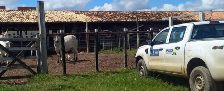 Emdagro intensifica fiscalização para garantir vacinação contra brucelose em Sergipe