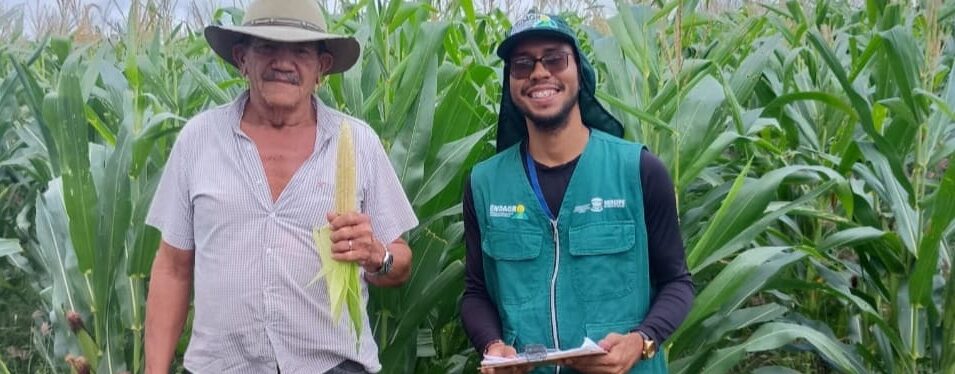 Parceria entre Emdagro e Banco do Nordeste garante assistência técnica personalizada a agricultores de milho em Sergipe