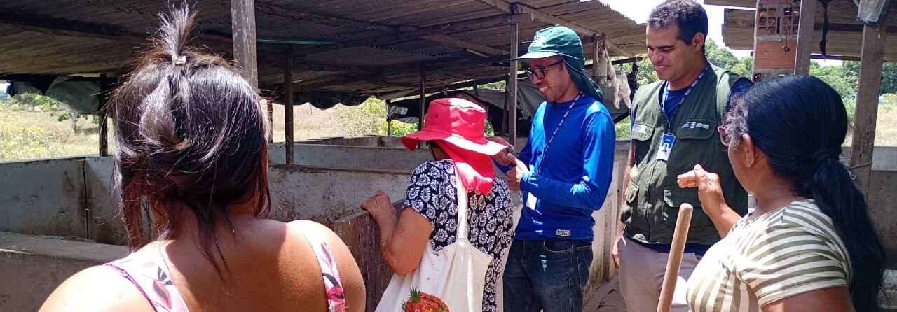 Emdagro fortalece autonomia produtiva de mulheres quilombolas com capacitação em suinocultura