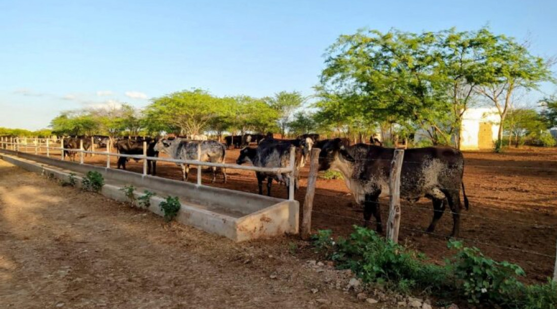 Crédito rural supera R$ 1 bilhão em Sergipe e reforça papel estratégico da Emdagro no acesso de agricultores familiares ao financiamento